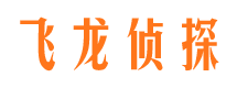 三都市侦探公司